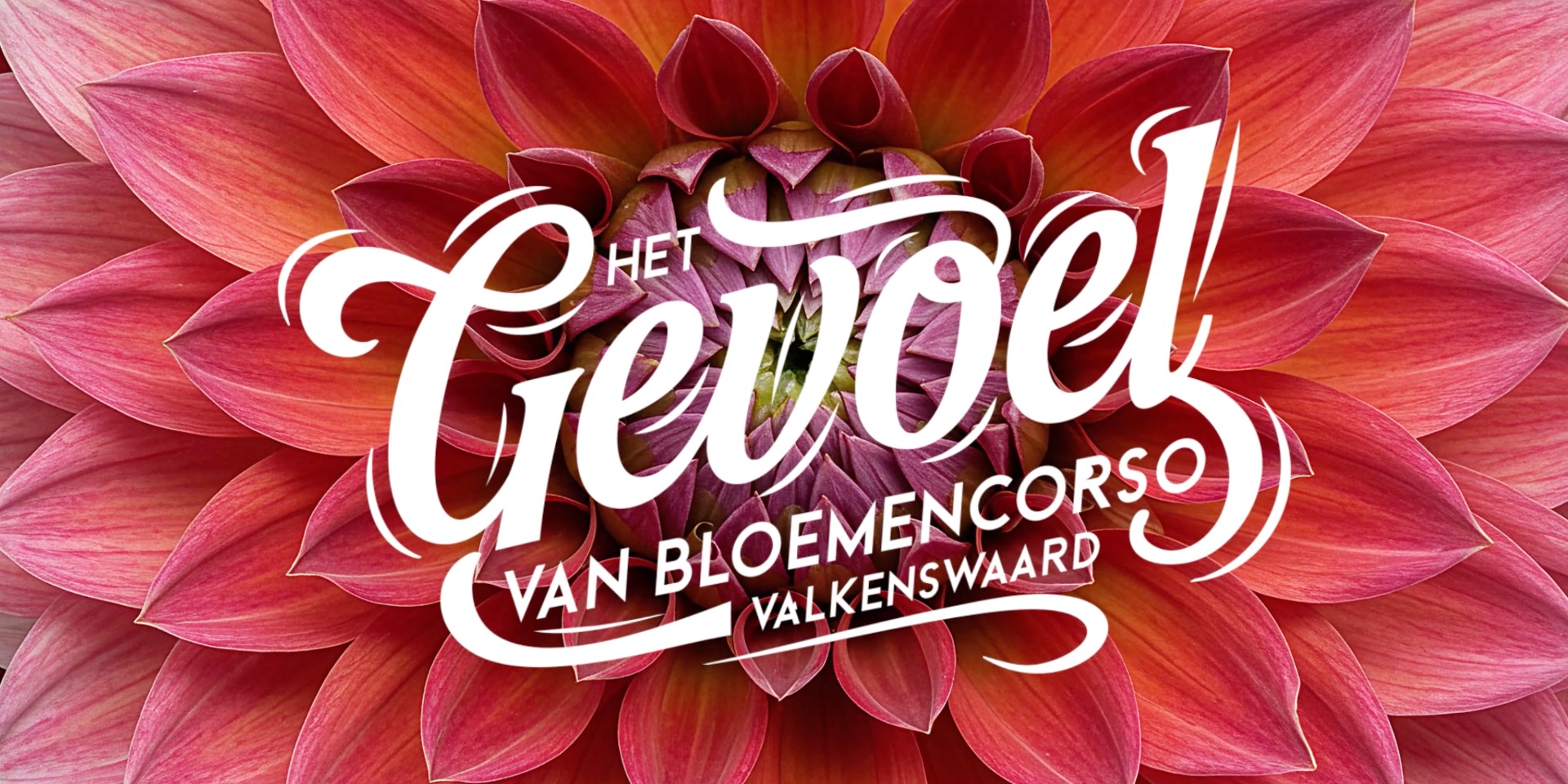 Foto: Open Tenten Dag Corso Valkenswaard: waar ga jij kijken?