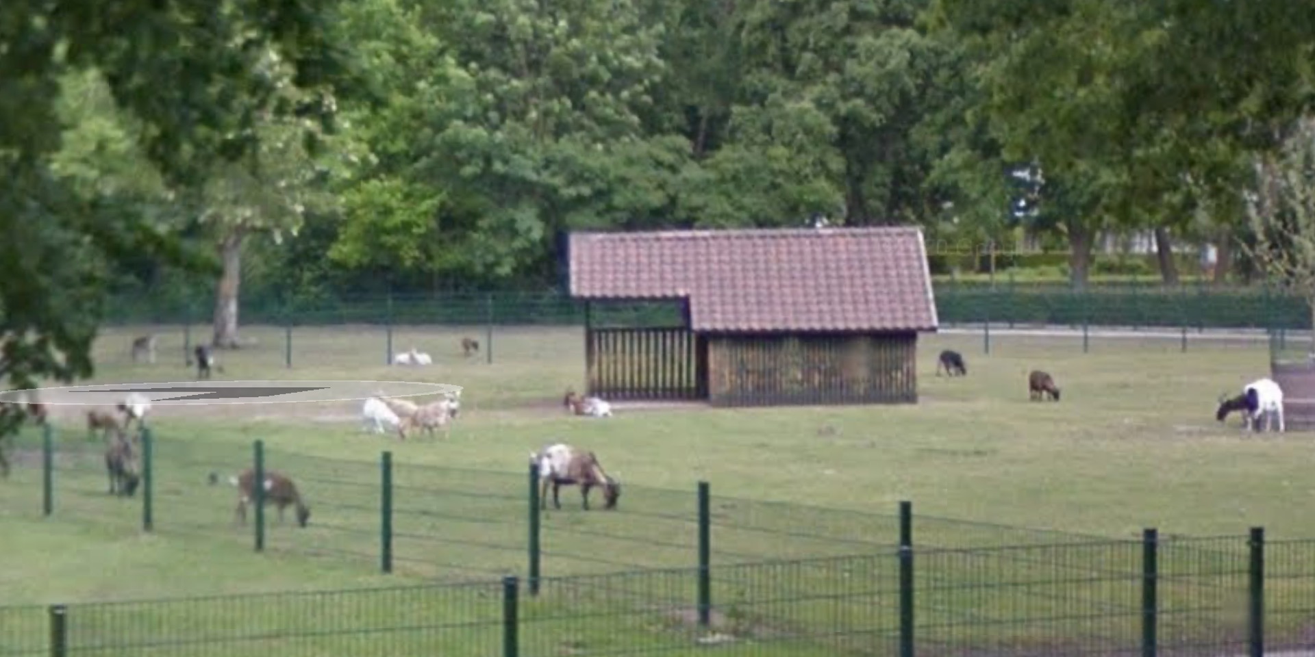 Foto: Raad Valkenswaard kiest voor uitgebreidere variant nieuwe veldschuur kinderboerderij