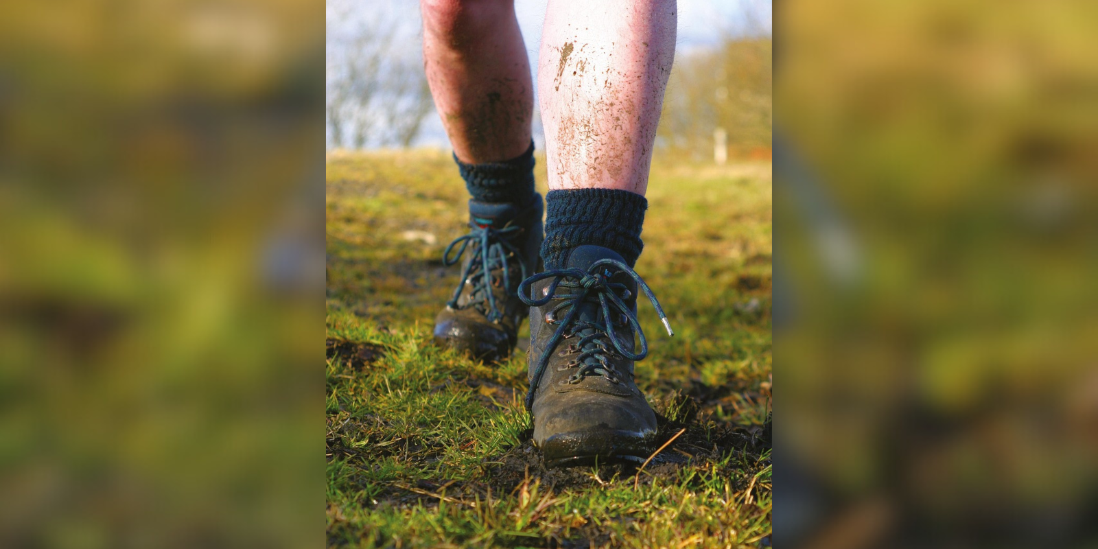 Foto: Wandelvereniging uit Valkenswaard organiseert laatste grensparkwandeling van het jaar