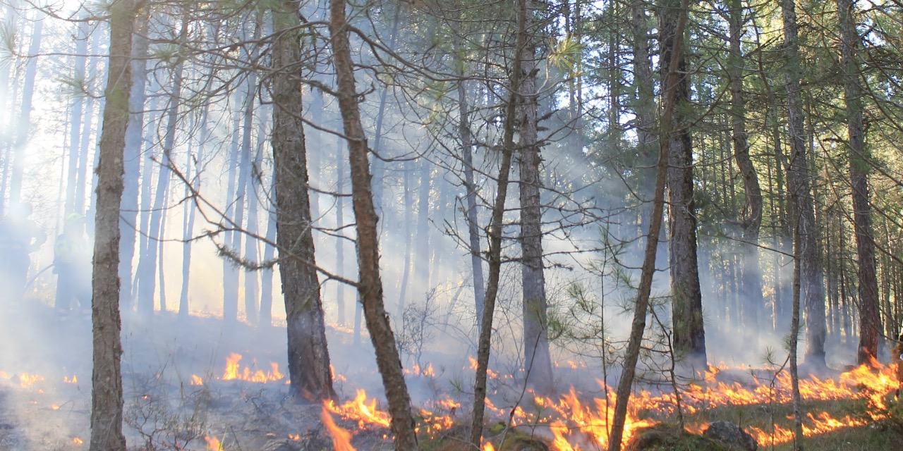 Foto: Gemeente Eersel waarschuwt: blijf alert op natuurbrand ondanks regen