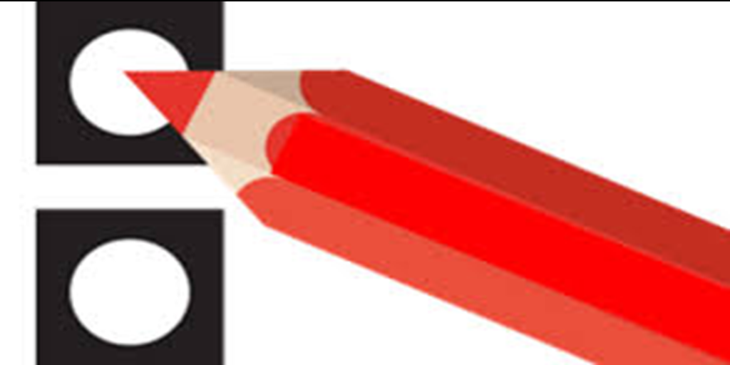 Foto: Lokale partijen mogelijk populair tijdens gemeenteraadsverkiezingen: ook in De Kempen