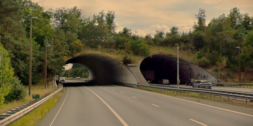 Foto: Onderhoud aan ecoduct Woeste Hoeve