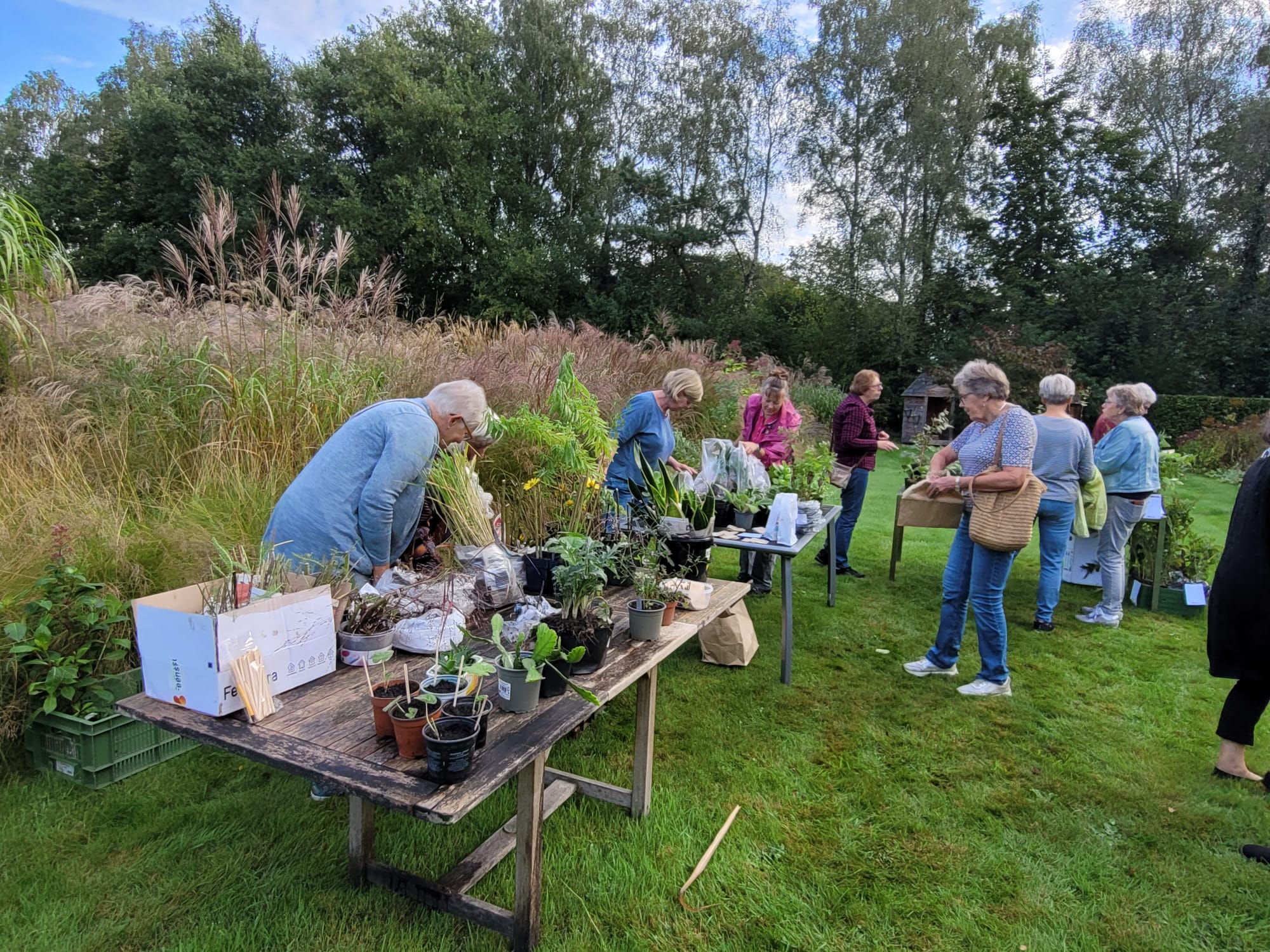 Foto: Voorjaar bij Tuinvereniging Groei&Bloei, afdeling Noord-Veluwe