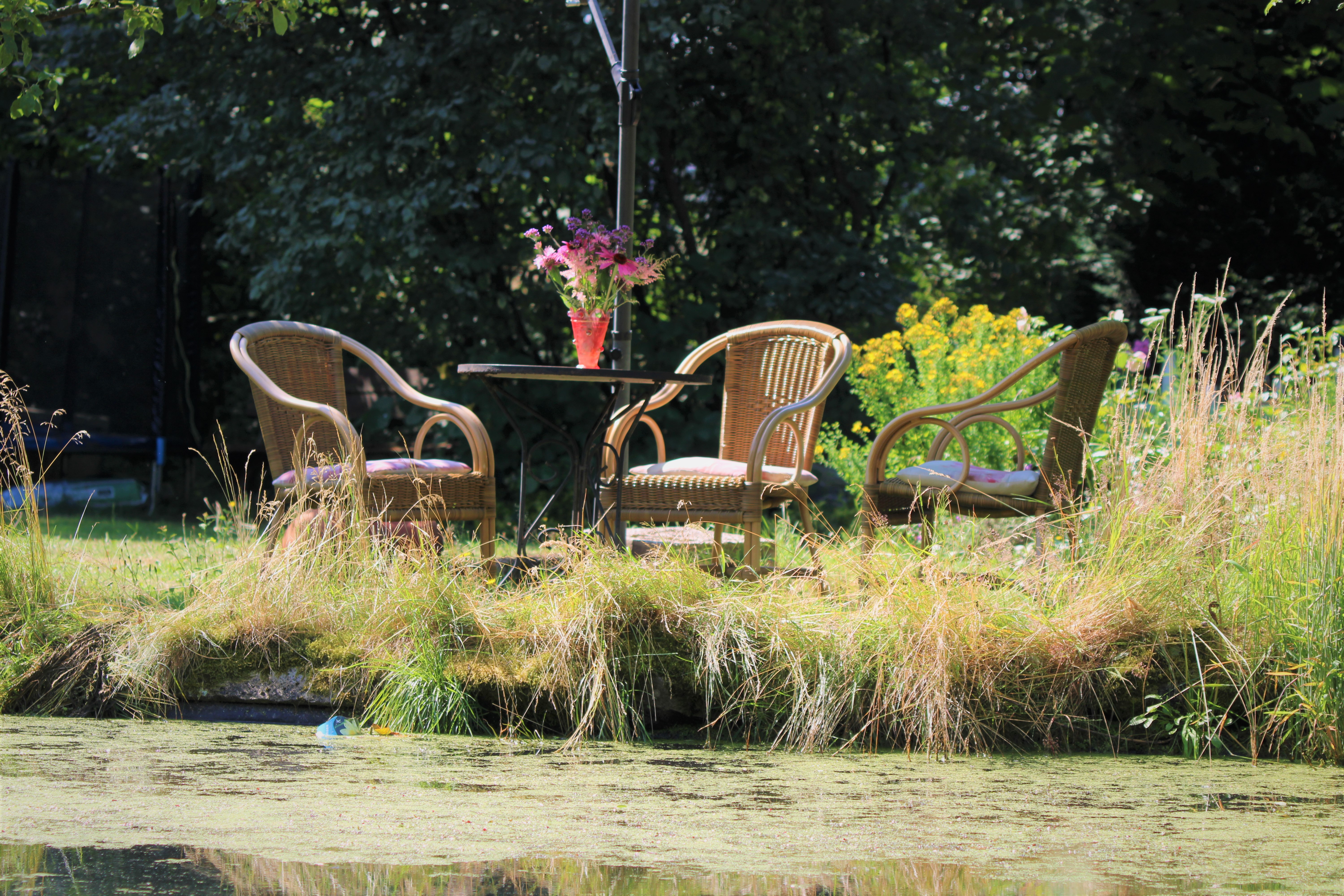 Foto: Open Tuinendagen van Groei&Bloei afdeling Noord-Veluwe