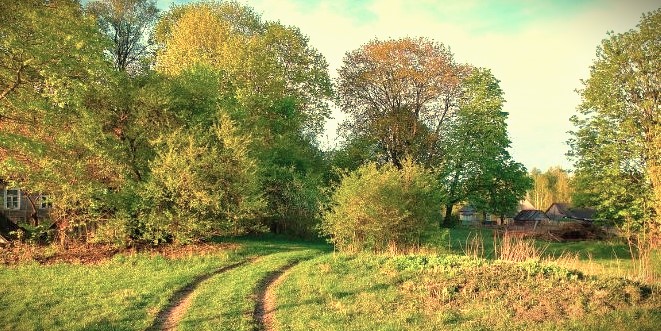 Foto: Tuinman Piet bespreekt tuinproblemen