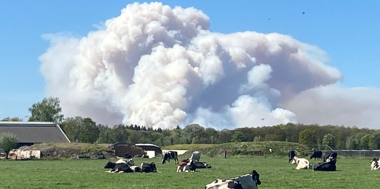 Foto: Grote natuurbrand op 't Harde