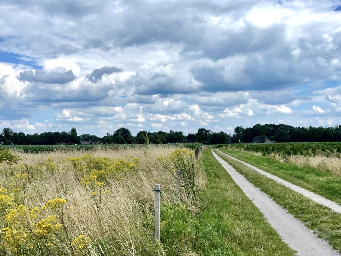 Foto: Aanleg wandelnetwerk Veluwe in gemeente Epe van start