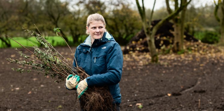 Foto: Help mee met het versterken van landschap en biodiversiteit in de gemeente Heerde