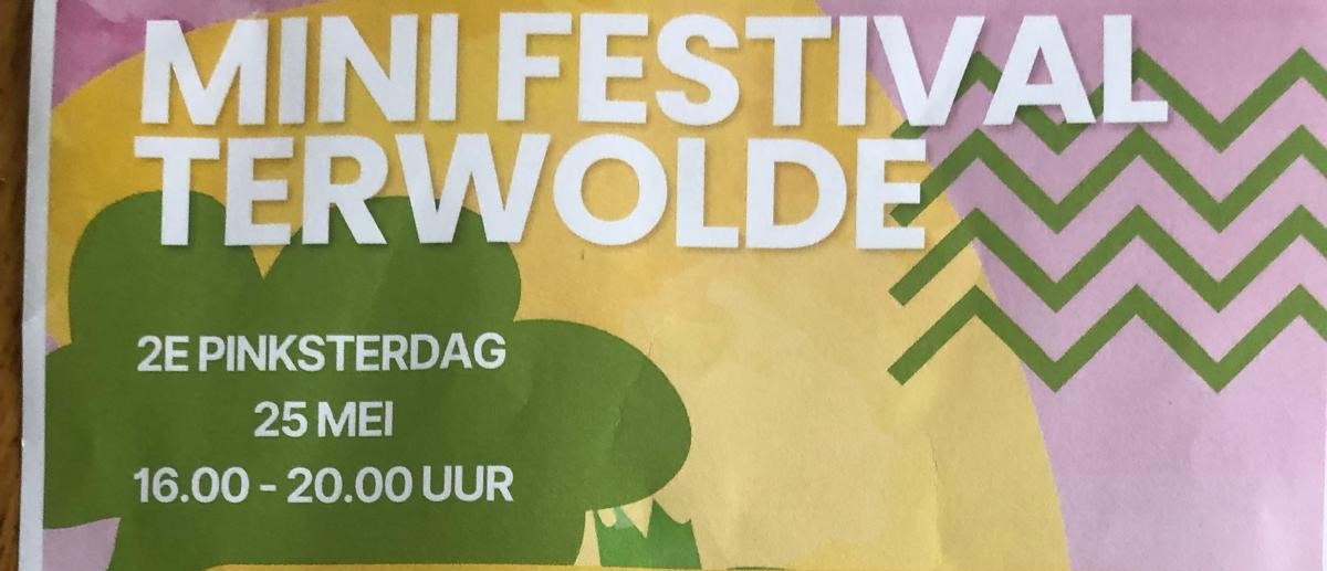 Foto: Mini Festival Terwolde