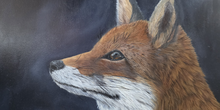 Foto: ‘Natuur & 100% wild’ expositie in het KEKhuis