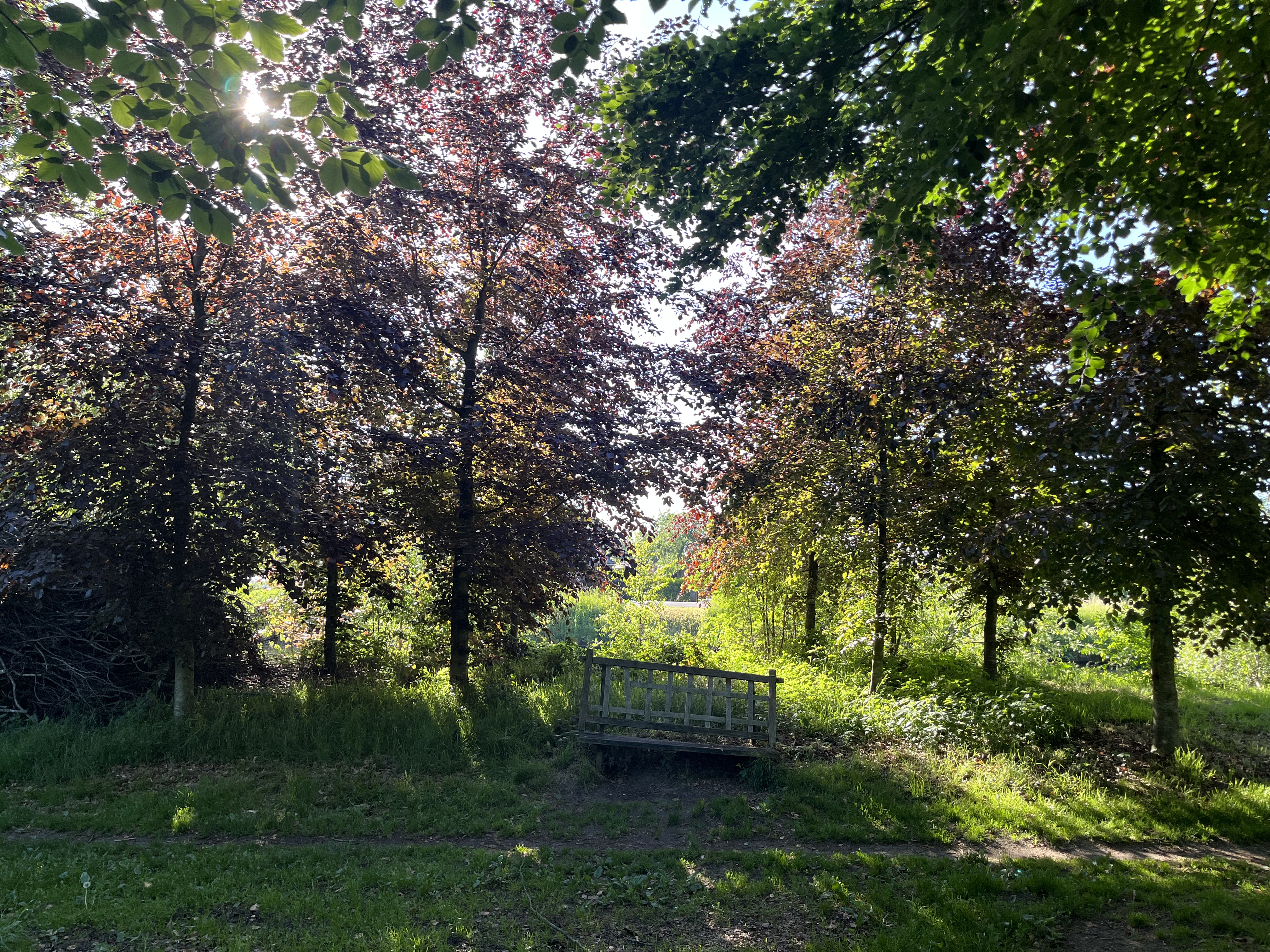 Foto: Landgoedwandelingen Vosbergen