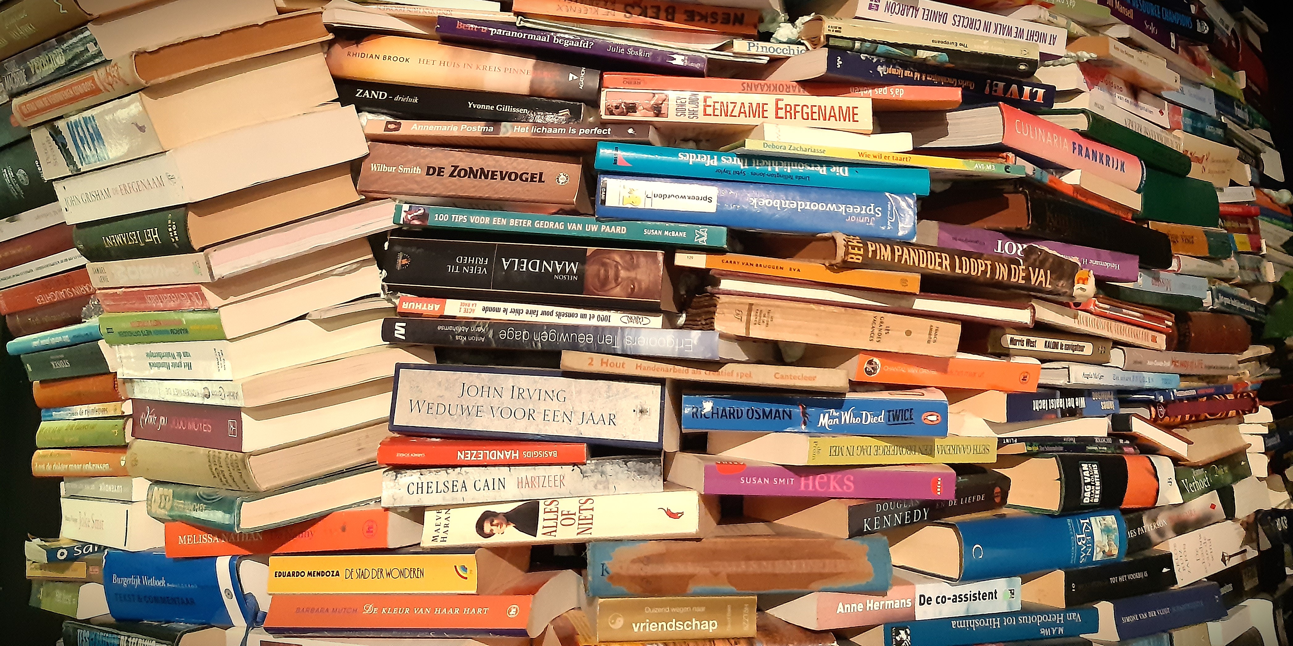 Foto: Boekenmarkt in Twellose bieb