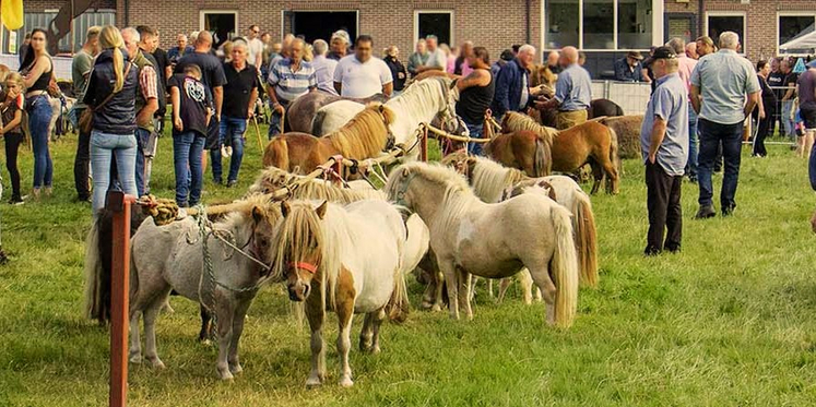 Foto: Loense Moandag: pony- en jaarmarkt en live muziek