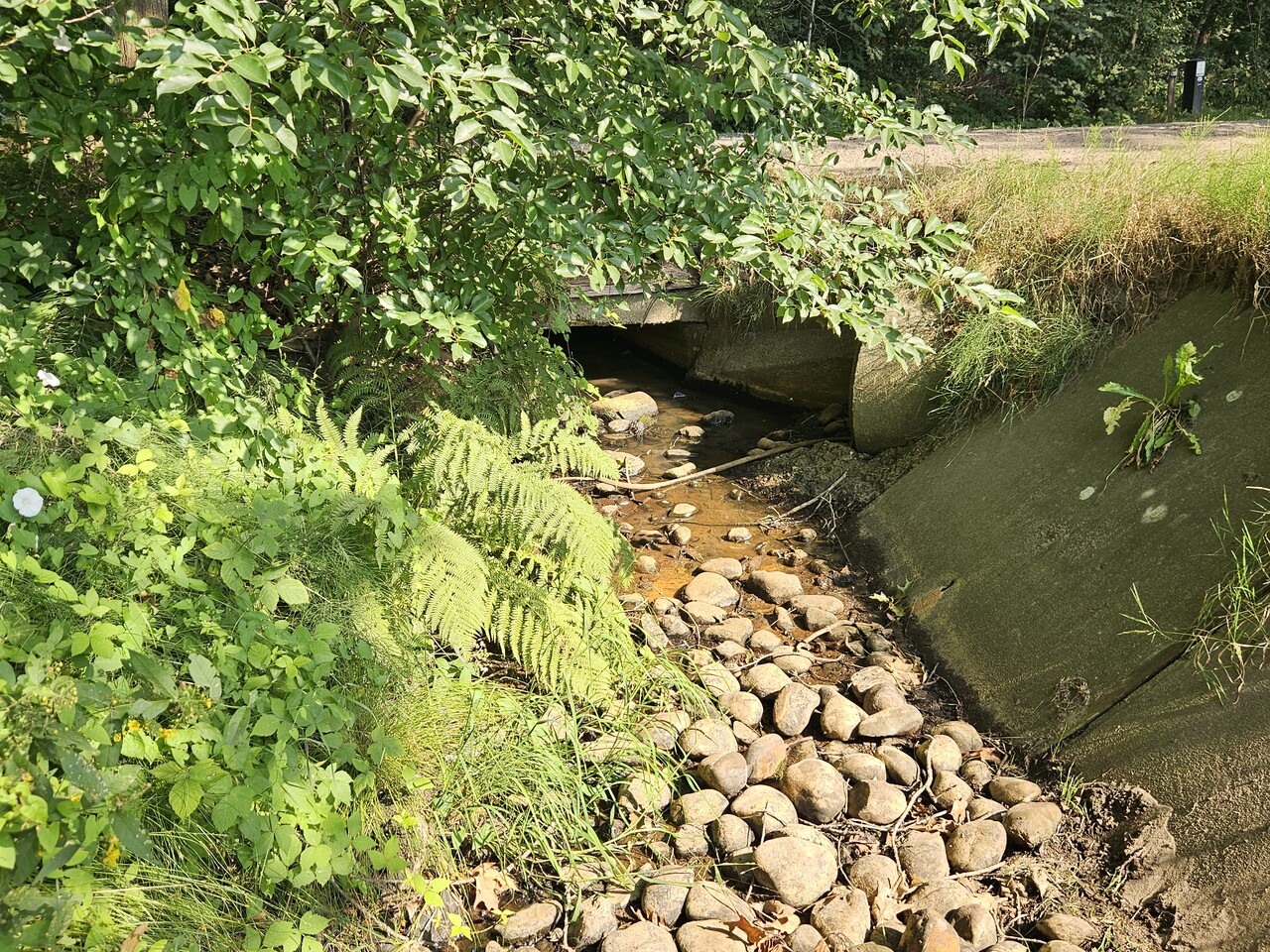 Foto: Extra maatregel tegen droogte