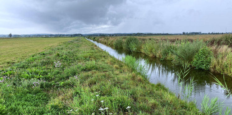 Foto: Tijdelijk onttrekkingsverbod grondwater natte landnatuur