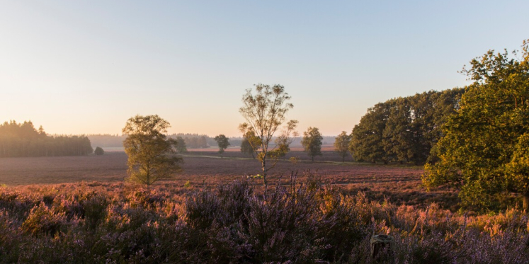 Foto: Cultuurhistorische wandeling, landgoed De Dellen
