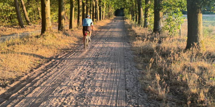 Foto: Ontdek de Noordoost-Veluwe tijdens Gisola Wild op Wielen