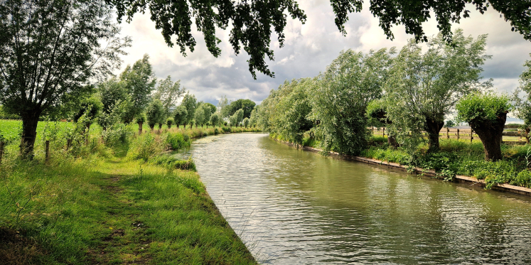Foto: Plant groen en vang water in stroomgebied Voorsterbeek