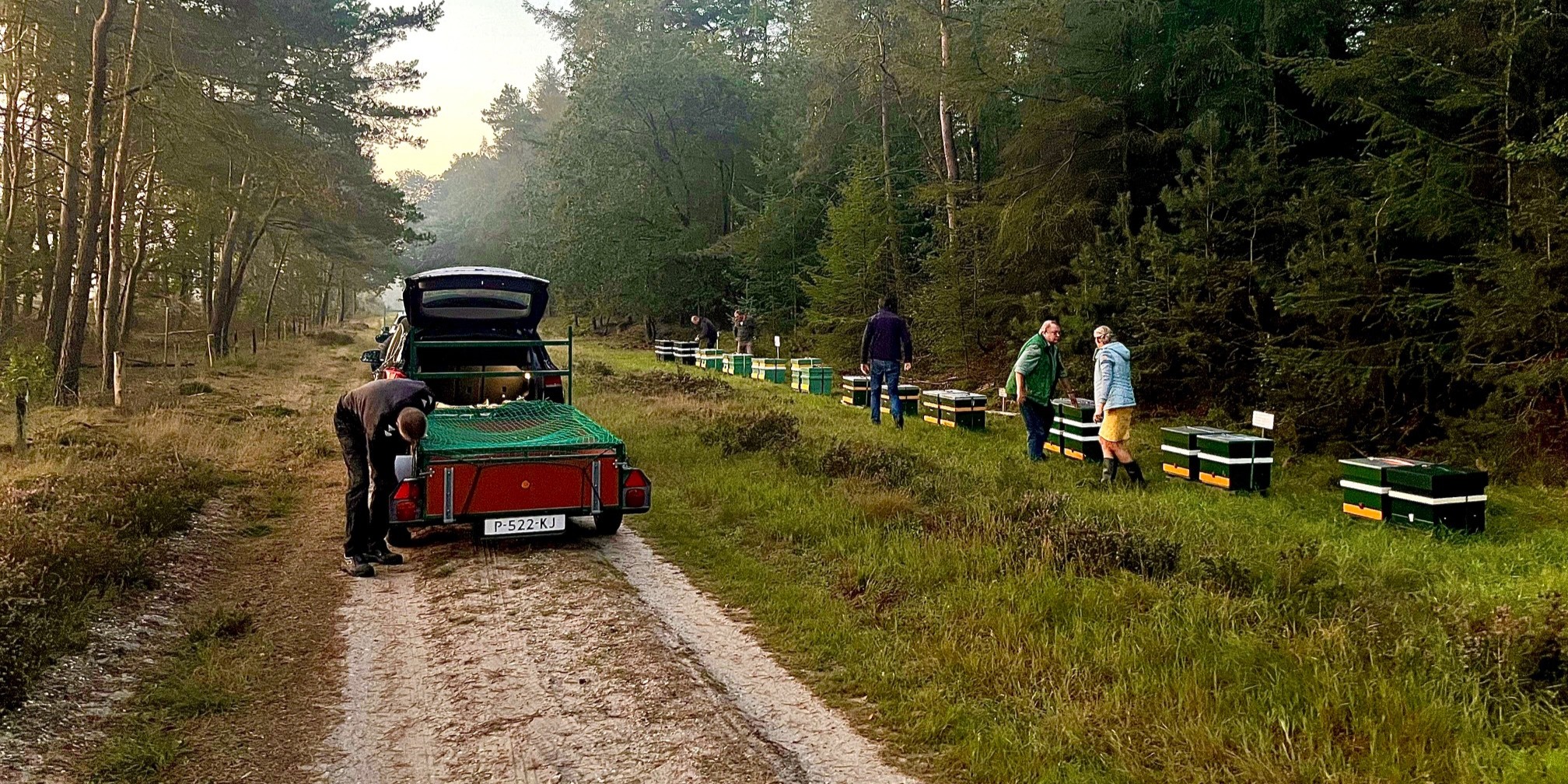 Foto: Tijdelijk meer dan 100 extra bijenkasten op heide toegestaan