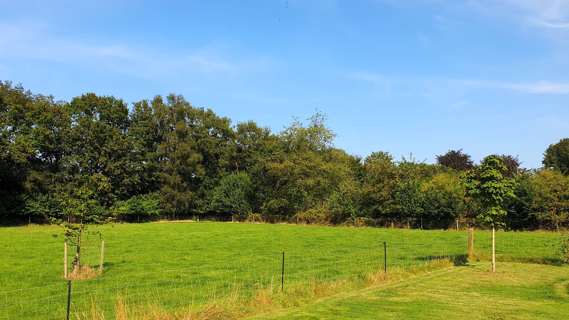 Foto: ‘Dit plan staat op drijfzand’: kritiek provincie bevestigt zorgen van Vrienden van Huinen