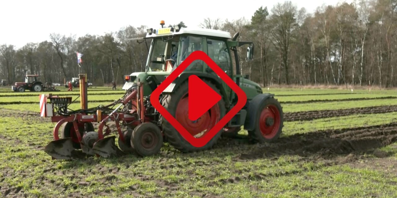 Foto: NK ploegen met meer dan honderd deelnemers strijkt neer in Reusel