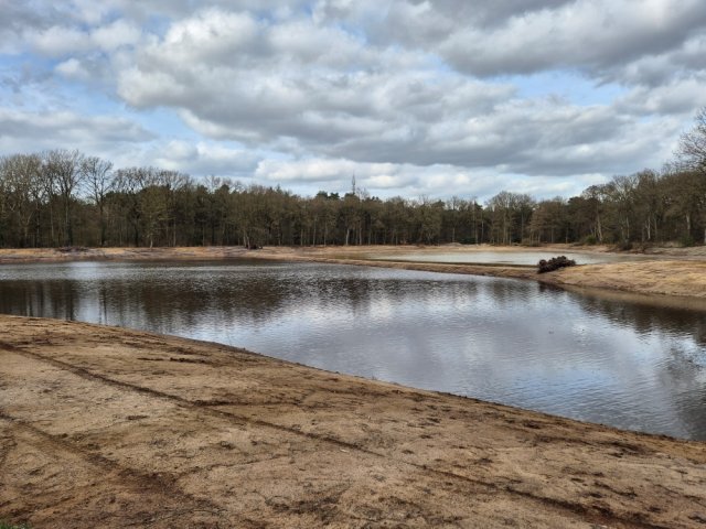 Foto: De Groote Meer in ere hersteld: natuur krijgt weer ruimte