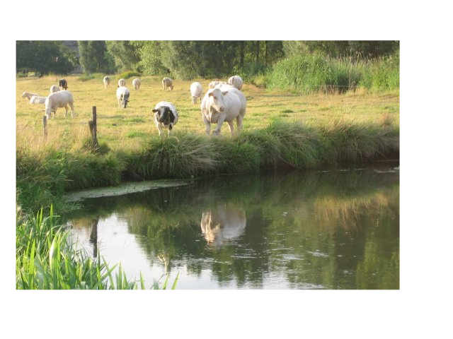 Foto: Gemeente Valkenswaard blijft zich inzetten voor schoon Dommelwater
