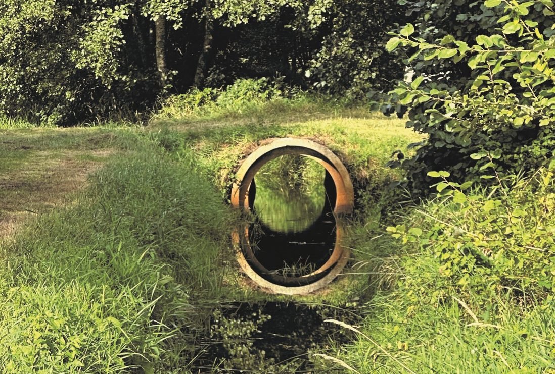 Foto: LandArt Duizel krijgt steeds meer vorm