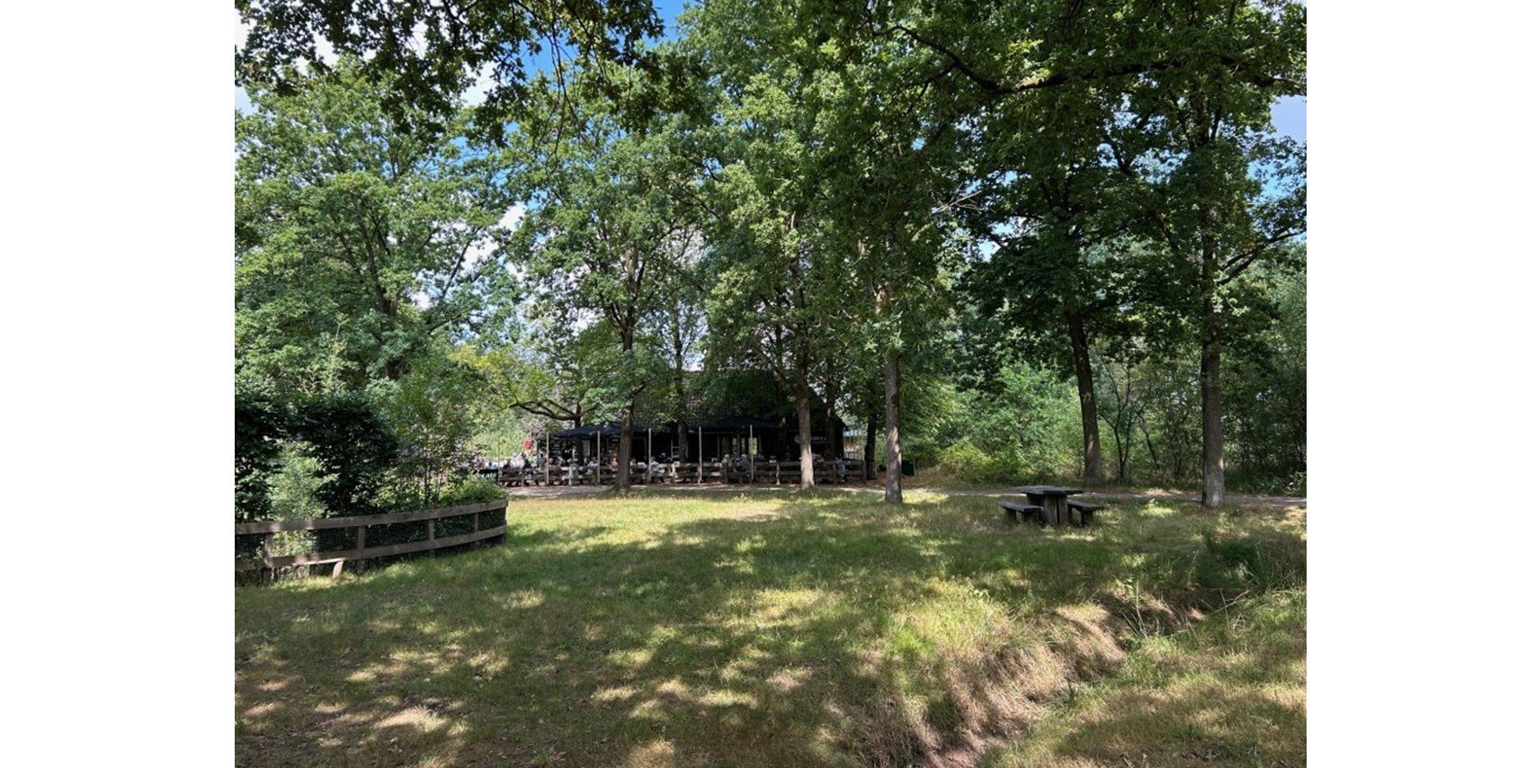 Foto: 21 april: Yoga-wandeling op de Strabrechtse Heide voor mantelzorgers
