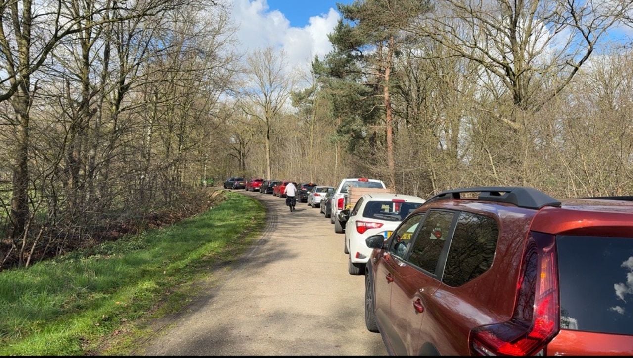 Foto: Aardappelgekte in Hapert door spotprijzen: ‘Ik neem 200 kilo mee’