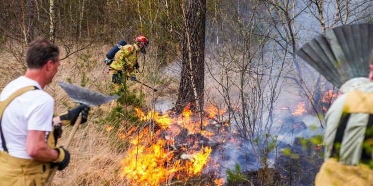 Foto: Bosbrand in Heeze