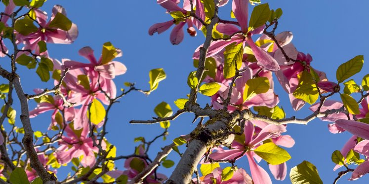 Foto: Zomers weer de komende dagen; met name in de Kempen en Limburg