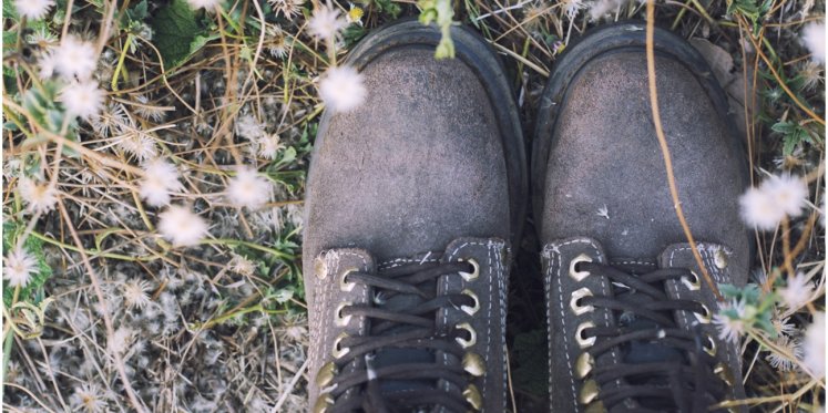 Foto: 16 april: Ontspannen wandeling vanuit de Bibliotheek in Budel