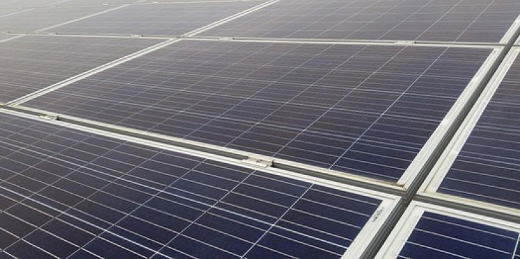 Foto: Raad van State zet streep door zonneparkplan in Budel