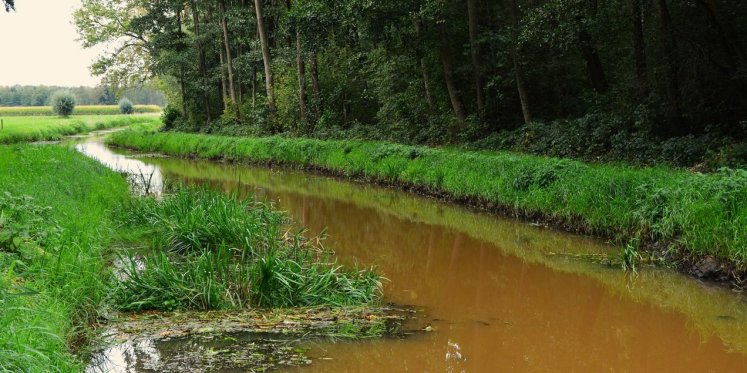 Foto: 26 april: Publiekswandeling ‘Slingerend langs de Strijper Aa’