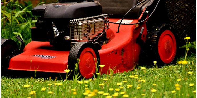 Foto: Zes tips voor ‘Maai Minder’