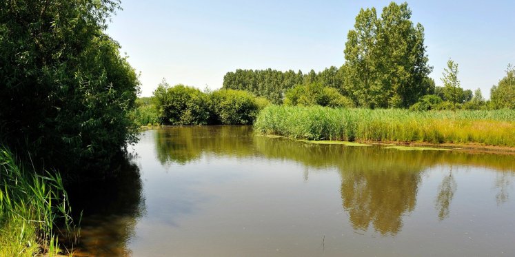Foto: Waterschap De Dommel zet strijd om schoner water voort bij de rechter