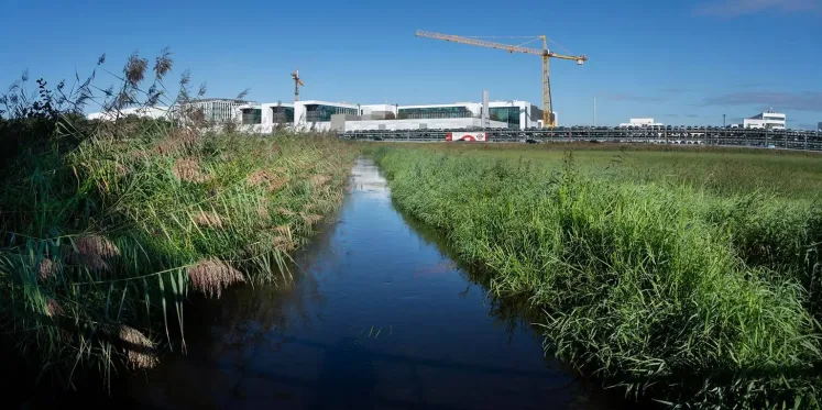 Foto: 11 mei: Inloopavond over plannen voor Beekdal Run in Veldhoven
