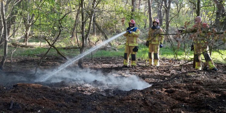 Foto: Brandweer blust opnieuw smeulende grond in Budel