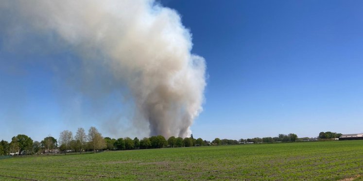 Foto: Grote bosbrand op militair terrein in Weert, rookwolken te zien vanuit Budel-Schoot