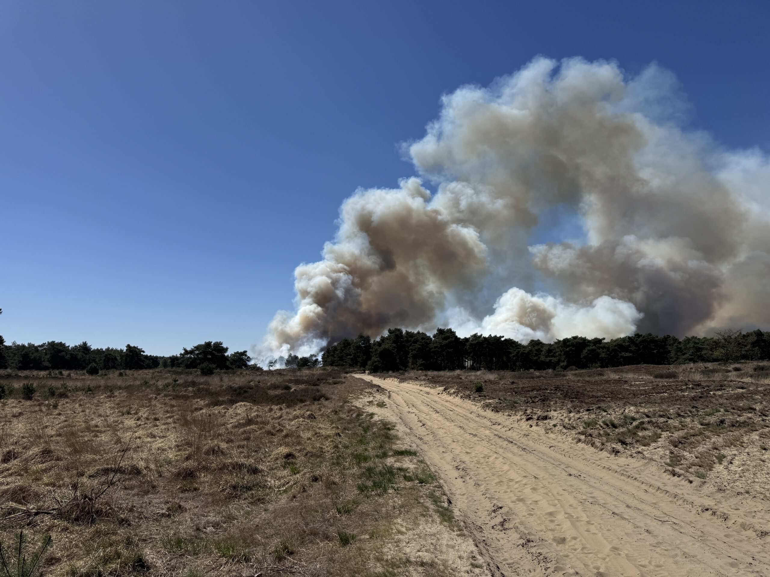 Foto: Brandweer krijgt hulp uit Frankrijk en Duitsland bij natuurbrand aan Geuzendijk in Weert