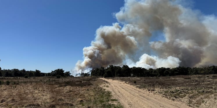 Foto: Brandweer krijgt hulp uit Frankrijk en Duitsland bij natuurbrand aan Geuzendijk in Weert