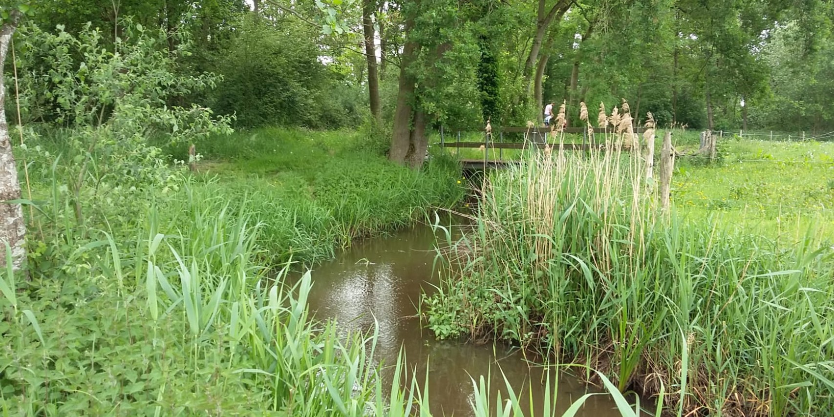 Foto: 17 mei: Ochtendwandeling langs de Kleine Dommel