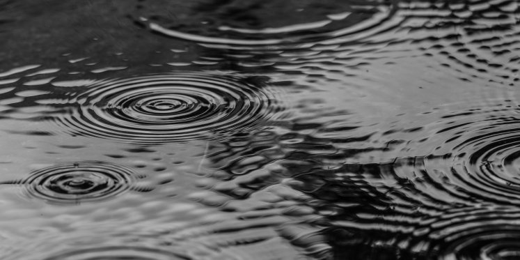 Foto: Regen en kans op onweer tijdens Dodenherdenking en Bevrijdingsdag