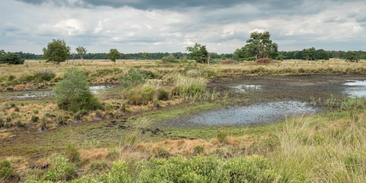 Foto: Gebiedsteam Buitengebied-Zuid Valkenswaard organiseert wandeling door De Plateaux