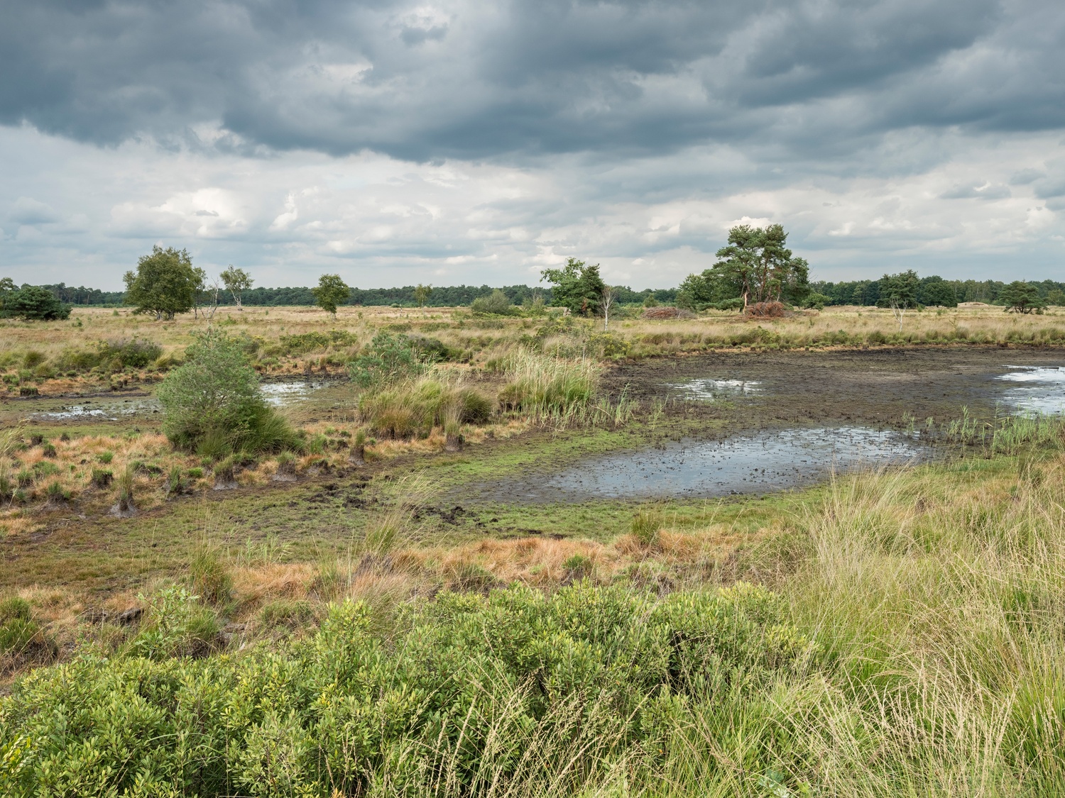 Foto: 20 mei: Wandeling door De Plateaux