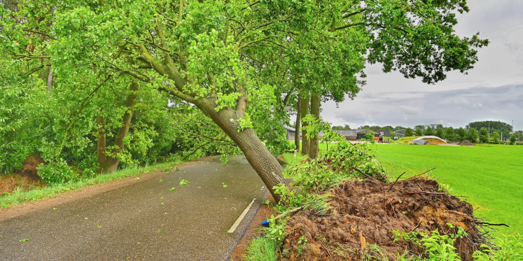 Foto: Windhoos richt veel schade aan in Eersel