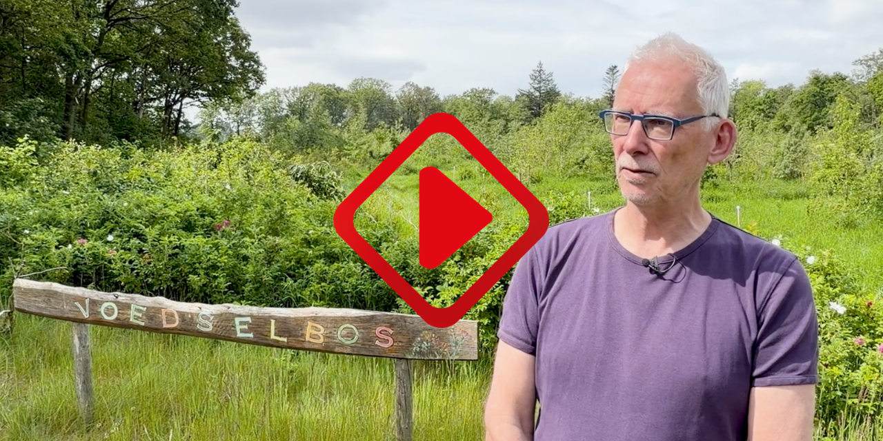 Foto: Brabant koploper in Nederland als het gaat om voedselbossen: 'We willen de natuur dichterbij brengen'