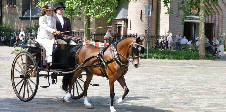 Foto: Veel belangstelling voor traditionele Pinksterrit met authentieke rijtuigen