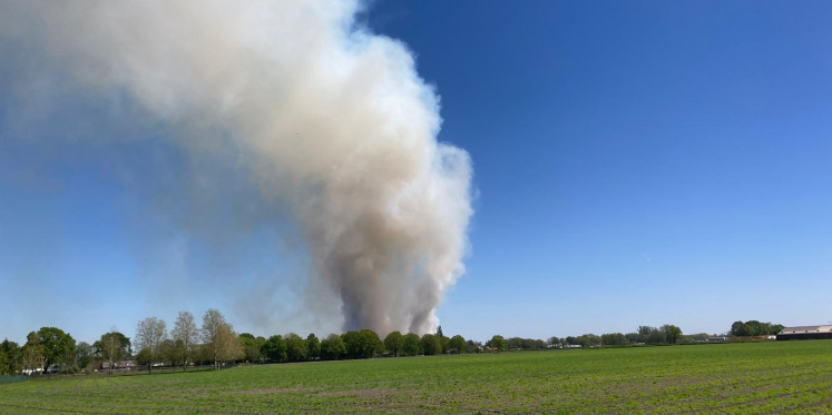 Foto: Geen opschaling naar natuurbrandrisico fase 2 in regio Brabant-Zuidoost